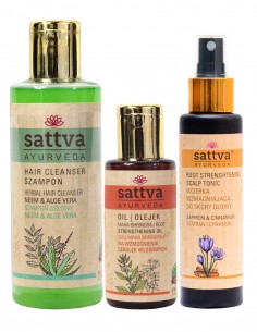Tratament anticadere par ayurvedic – Sattva Ayurveda